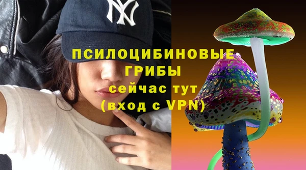 стафф Алексин