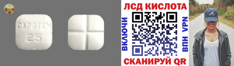 дарк нет состав Черепаново LSD-25 экстази ecstasy
